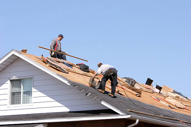 Best Roof Ventilation Installation  in Harvey, ND